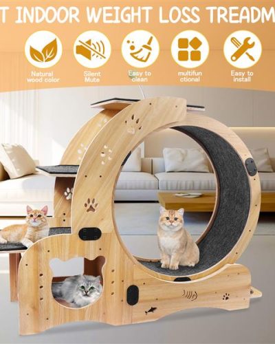 cat-wheel-6-in-1-cat-sports-wheel-upgraded-indoor-cat-wheel-sports-device